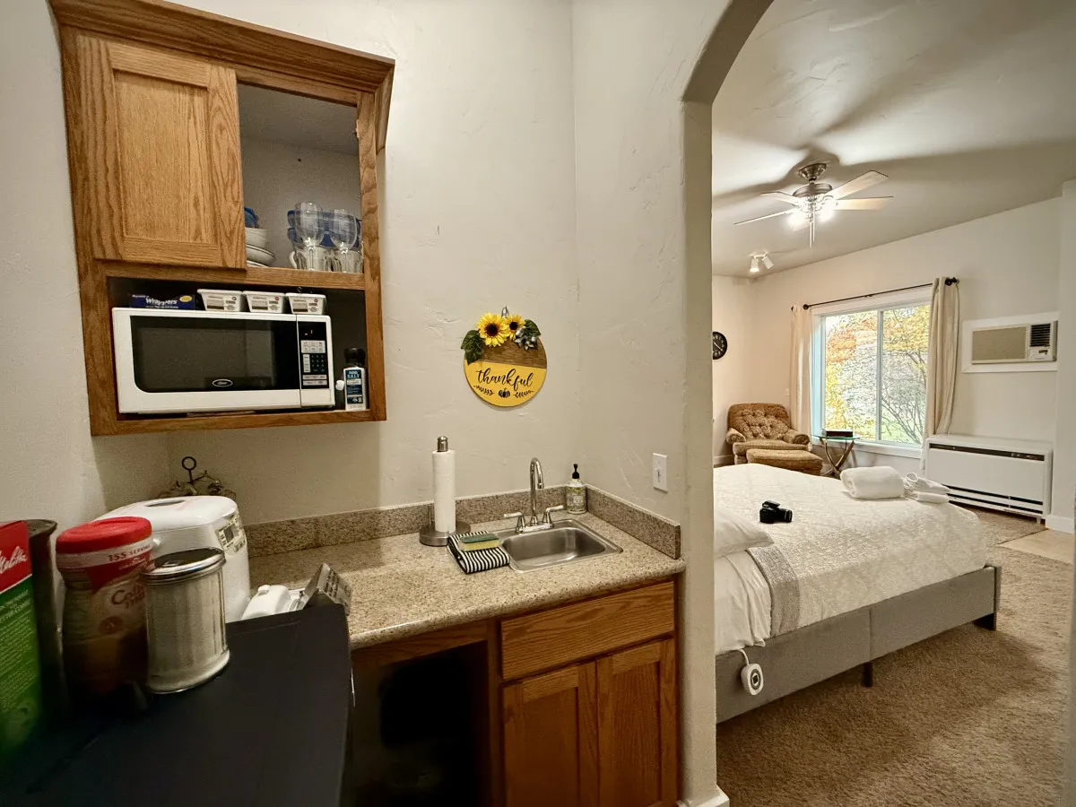 A cozy studio interior featuring a comfortable bed, a kitchenette, and an inviting armchair by a window. The window opens up to natural light, suggesting direct access or a view to the yard outside, and creates a homey atmosphere where both owner and pet can unwind together.