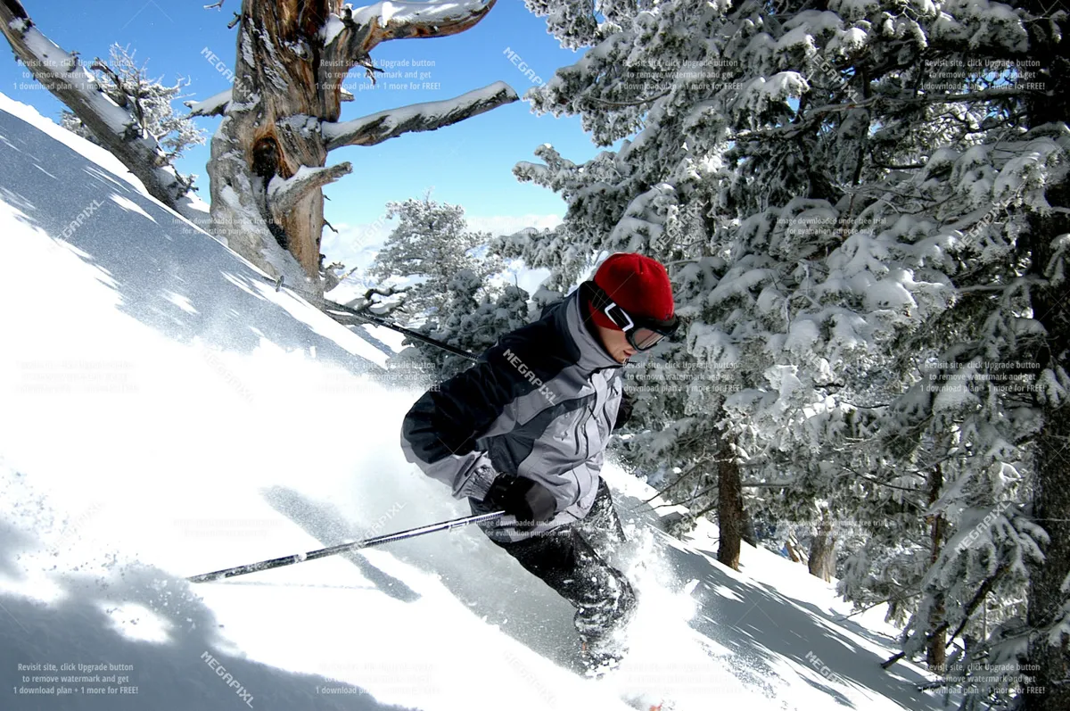 A downhill skier carves fresh tracks into a snowy slope under a clear blue sky, surrounded by snow-laden trees. The expansive view and sense of motion conjure the excitement and exhilaration of mountain sports.